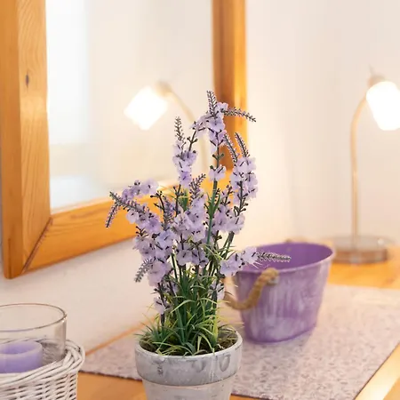 Parkresidenz Sanssoucis - App- 29 By Interhome Διαμέρισμα Zinnowitz