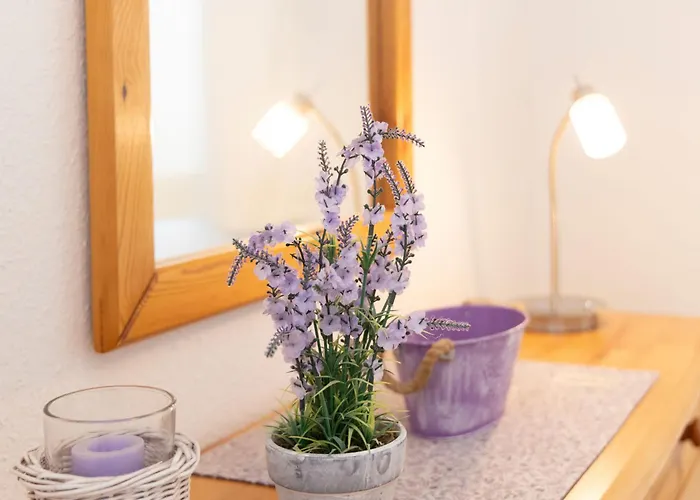 Parkresidenz Sanssoucis - App- 29 By Interhome Apartment Zinnowitz